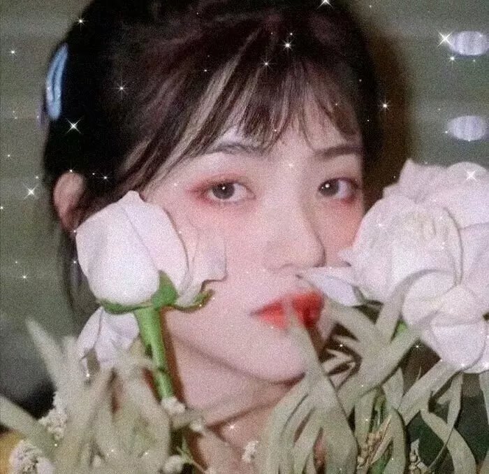 迷雾追凶